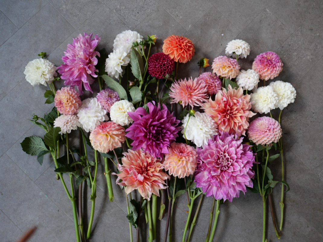 4232cc51-99b0-4982-b53a-81871bedc689