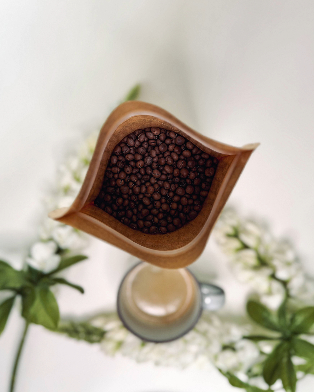 Lupiccino_3